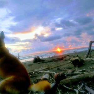 Meet your Posher, Shannon